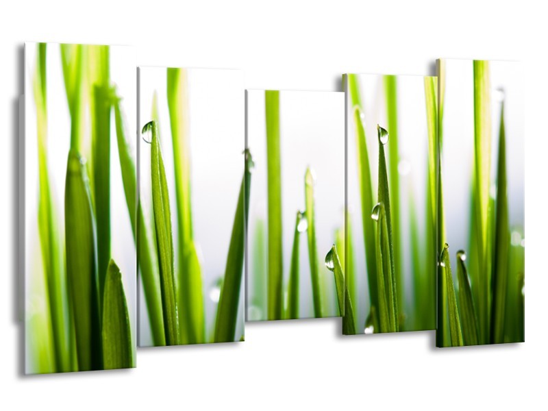 Glasschilderij Gras, Natuur | Groen, Geel, Wit | 150x80cm 5Luik