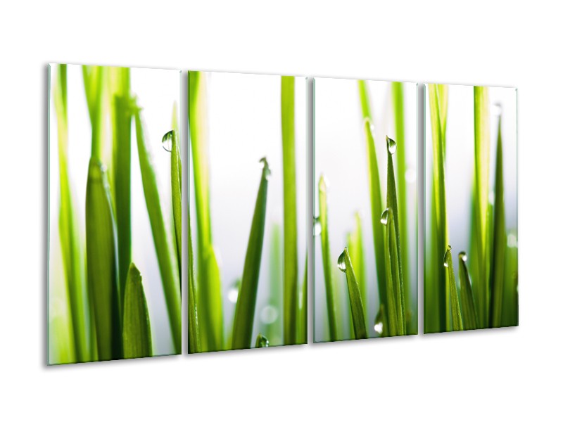 Canvas Schilderij Gras, Natuur | Groen, Geel, Wit | 160x80cm 4Luik