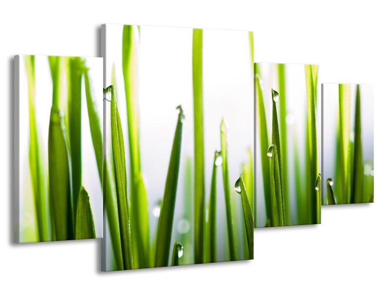 Glasschilderij Gras, Natuur | Groen, Geel, Wit | 160x90cm 4Luik