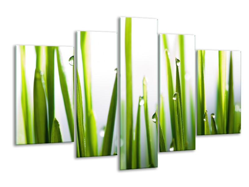 Canvas Schilderij Gras, Natuur | Groen, Geel, Wit | 170x100cm 5Luik