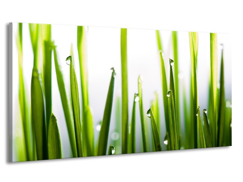 Canvas Schilderij Gras, Natuur | Groen, Geel, Wit | 170x90cm 1Luik