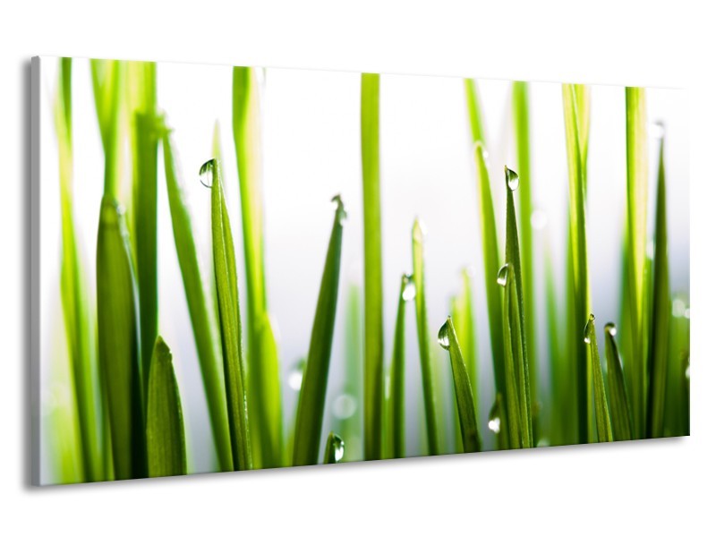 Canvas Schilderij Gras, Natuur | Groen, Geel, Wit | 190x100cm 1Luik