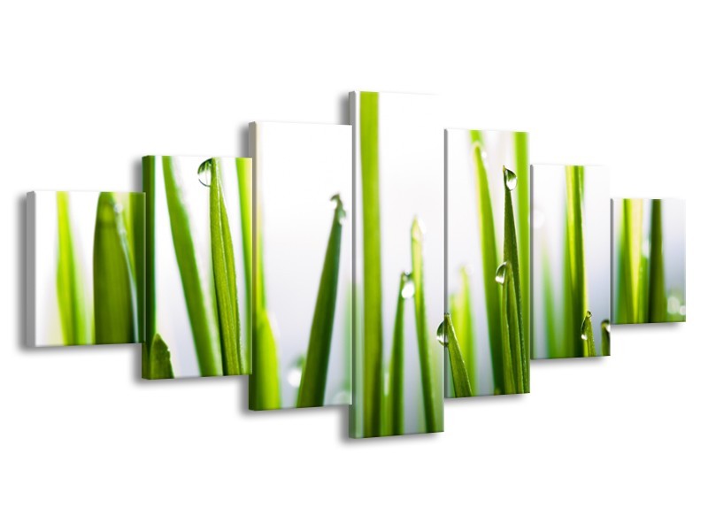 Glasschilderij Gras, Natuur | Groen, Geel, Wit | 210x100cm 7Luik