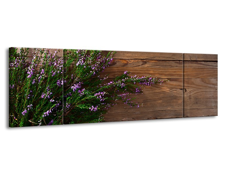 Canvas Schilderij Lavendel, Landelijk | Bruin, Paars, Groen | 170x50cm 3Luik
