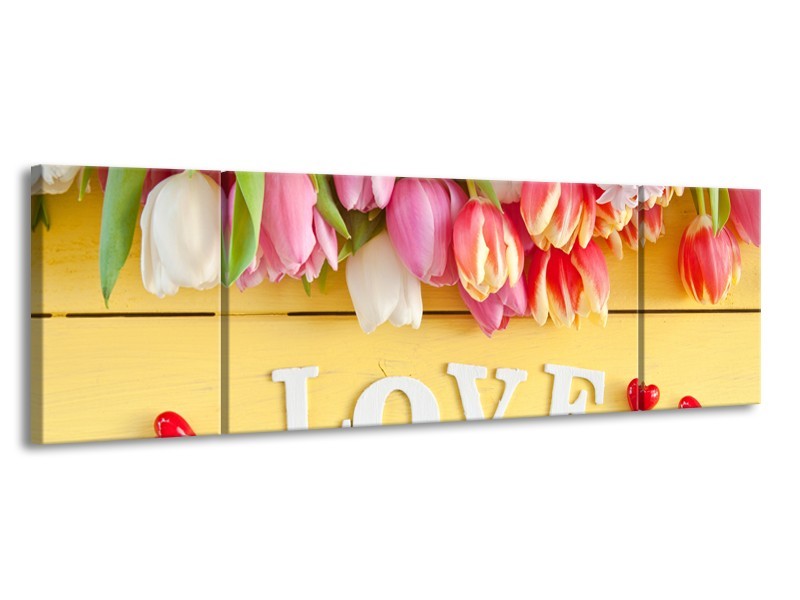Glasschilderij Tulpen, Bloemen | Geel, Roze, Wit | 170x50cm 3Luik
