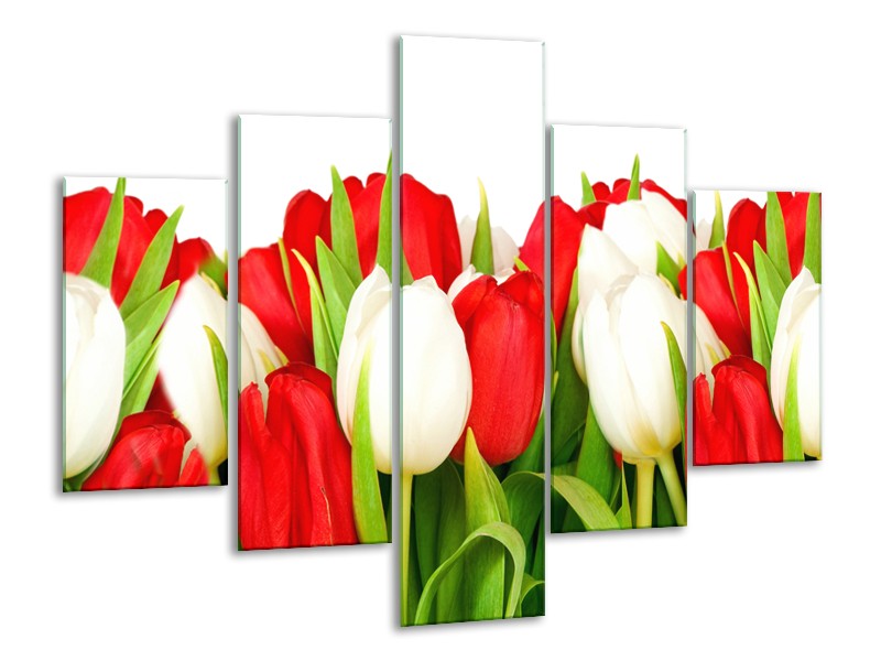 Canvas Schilderij Tulpen, Bloemen | Rood, Wit, Groen | 100x70cm 5Luik