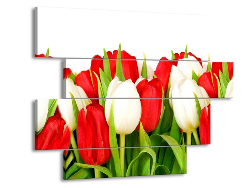 Canvas Schilderij Tulpen, Bloemen | Rood, Wit, Groen | 115x85cm 4Luik