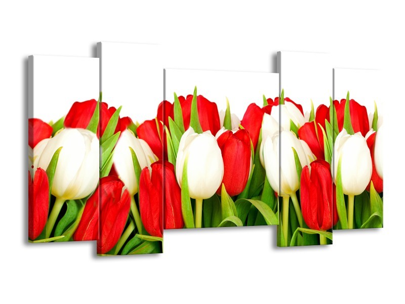 Canvas Schilderij Tulpen, Bloemen | Rood, Wit, Groen | 120x65cm 5Luik