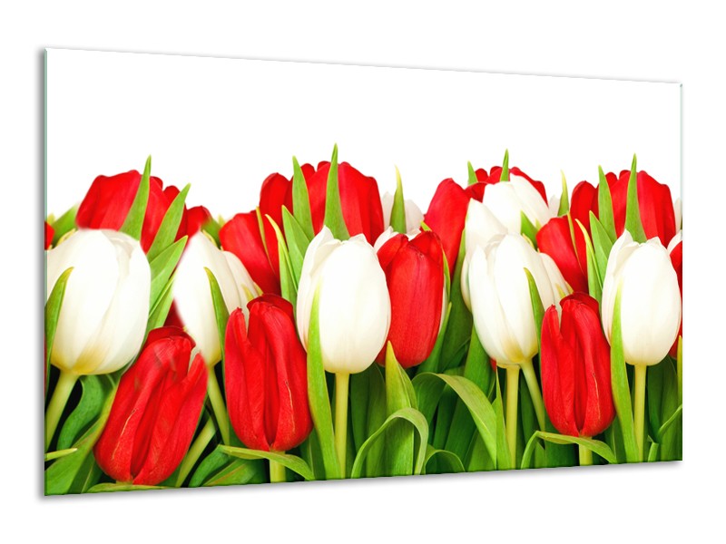 Glasschilderij Tulpen, Bloemen | Rood, Wit, Groen | 120x70cm 1Luik