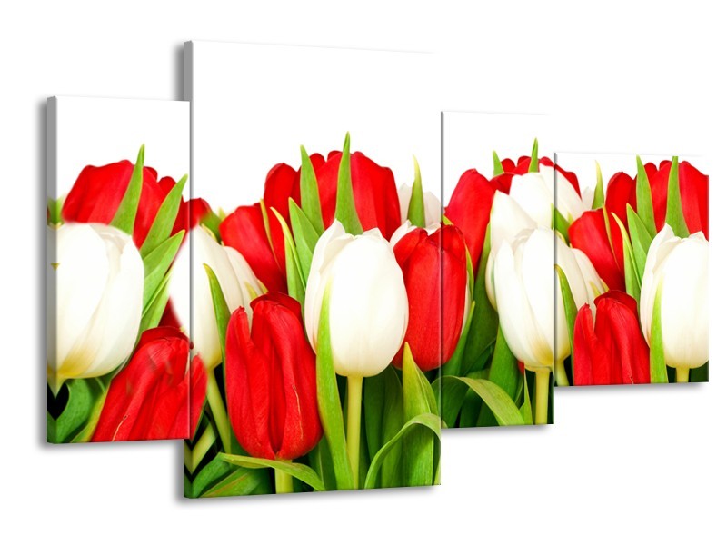 Glasschilderij Tulpen, Bloemen | Rood, Wit, Groen | 120x75cm 4Luik