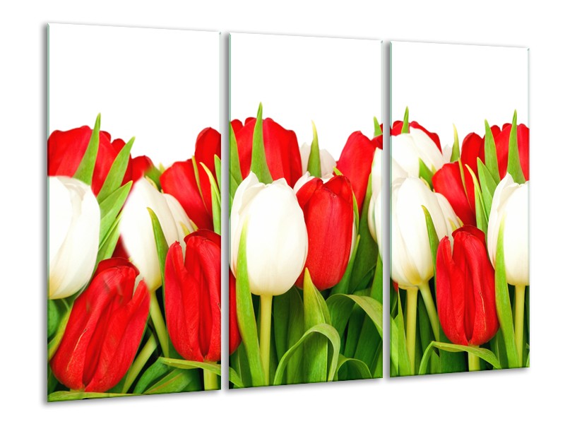 Canvas Schilderij Tulpen, Bloemen | Rood, Wit, Groen | 120x80cm 3Luik