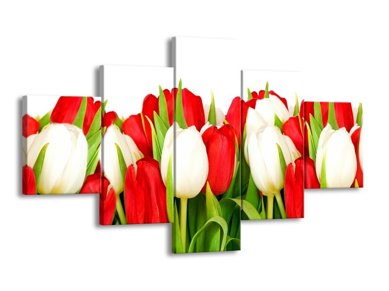 Glasschilderij Tulpen, Bloemen | Rood, Wit, Groen | 125x70cm 5Luik