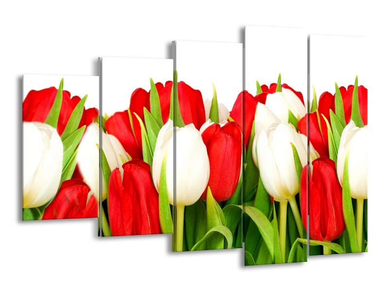 Canvas Schilderij Tulpen, Bloemen | Rood, Wit, Groen | 150x100cm 5Luik