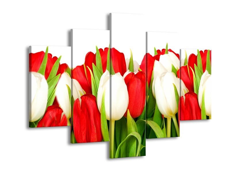 Canvas Schilderij Tulpen, Bloemen | Rood, Wit, Groen | 150x105cm 5Luik