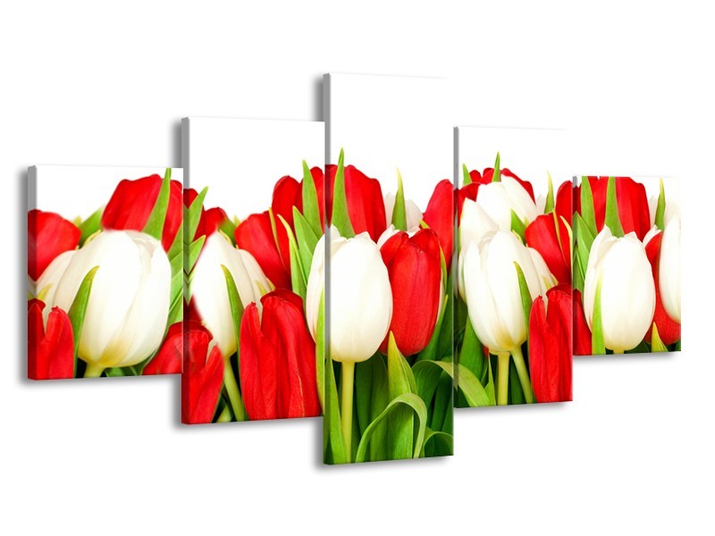 Glasschilderij Tulpen, Bloemen | Rood, Wit, Groen | 150x80cm 5Luik