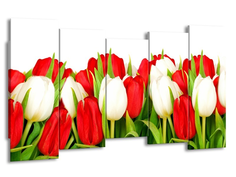 Glasschilderij Tulpen, Bloemen | Rood, Wit, Groen | 150x80cm 5Luik