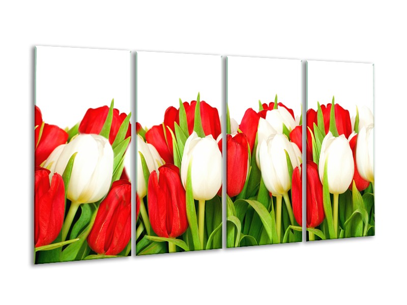 Glasschilderij Tulpen, Bloemen | Rood, Wit, Groen | 160x80cm 4Luik