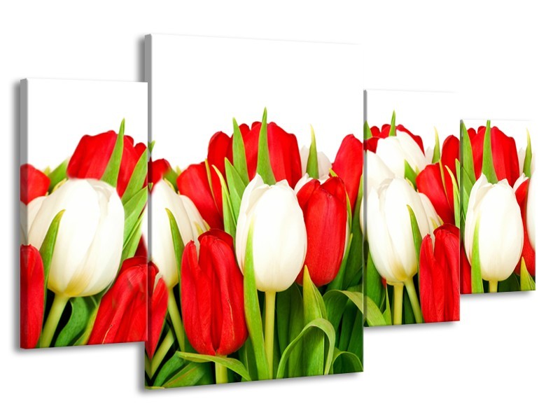 Canvas Schilderij Tulpen, Bloemen | Rood, Wit, Groen | 160x90cm 4Luik