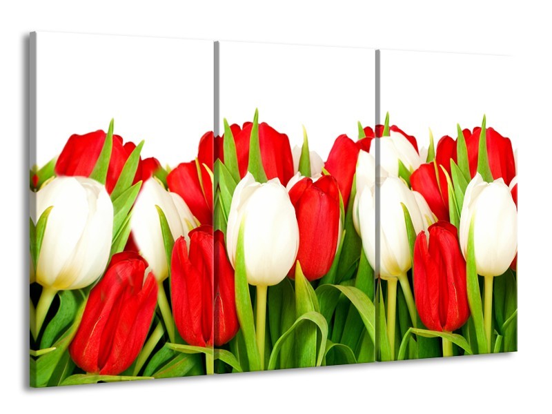 Glasschilderij Tulpen, Bloemen | Rood, Wit, Groen | 165x100cm 3Luik