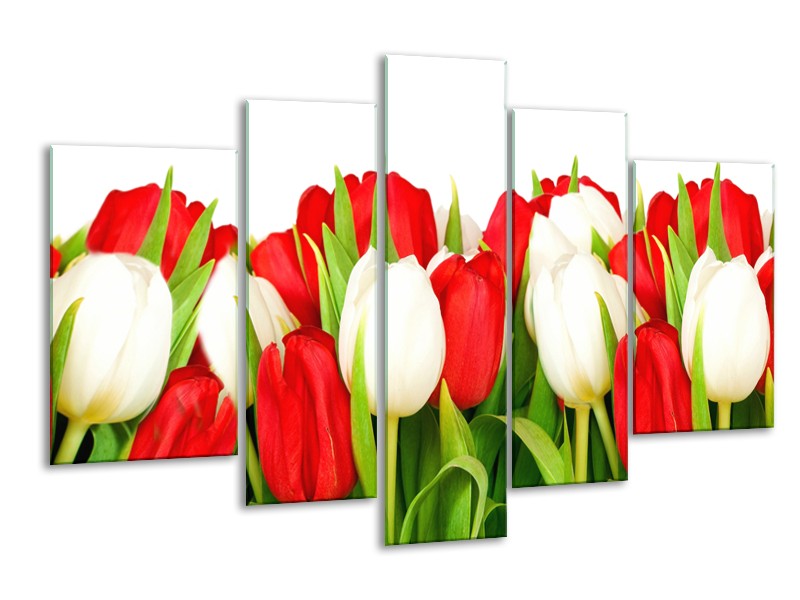 Canvas Schilderij Tulpen, Bloemen | Rood, Wit, Groen | 170x100cm 5Luik