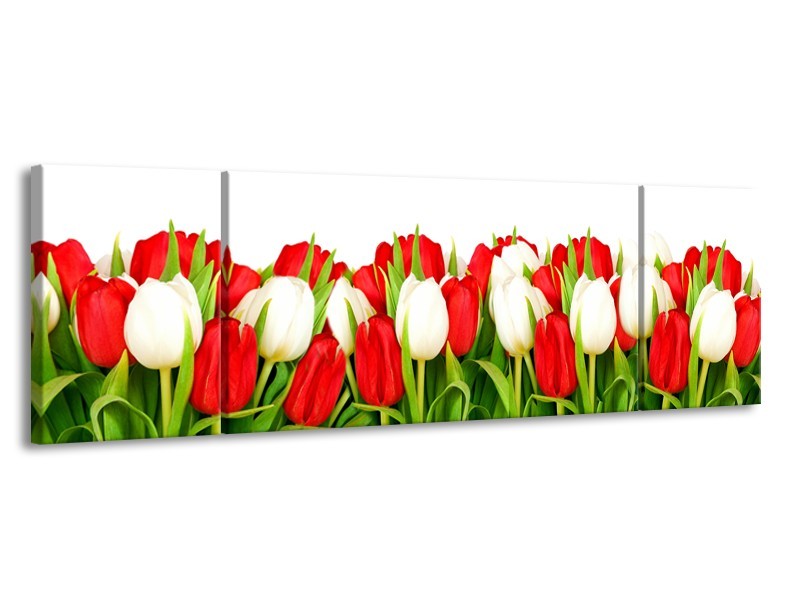 Canvas Schilderij Tulpen, Bloemen | Rood, Wit, Groen | 170x50cm 3Luik