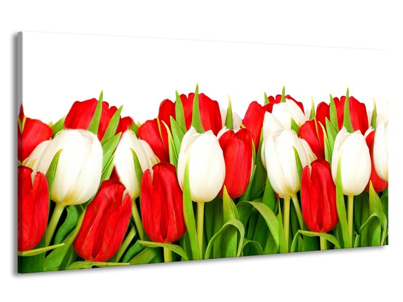 Canvas Schilderij Tulpen, Bloemen | Rood, Wit, Groen | 190x100cm 1Luik