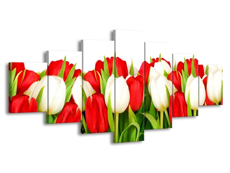 Canvas Schilderij Tulpen, Bloemen | Rood, Wit, Groen | 210x100cm 7Luik