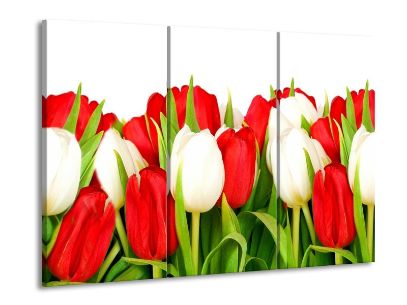 Glasschilderij Tulpen, Bloemen | Rood, Wit, Groen | 60x90cm 3Luik