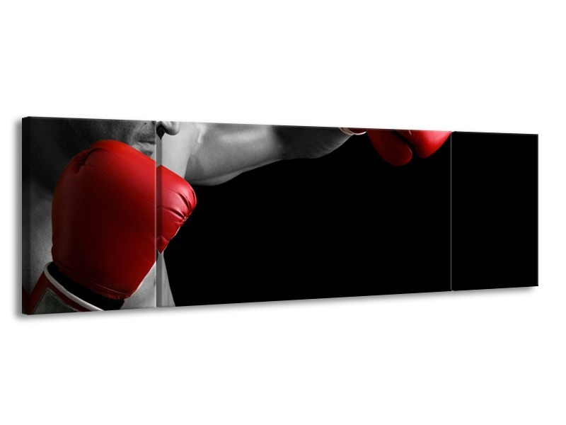 Canvas Schilderij Man, Sport | Zwart, Grijs, Rood | 170x50cm 3Luik