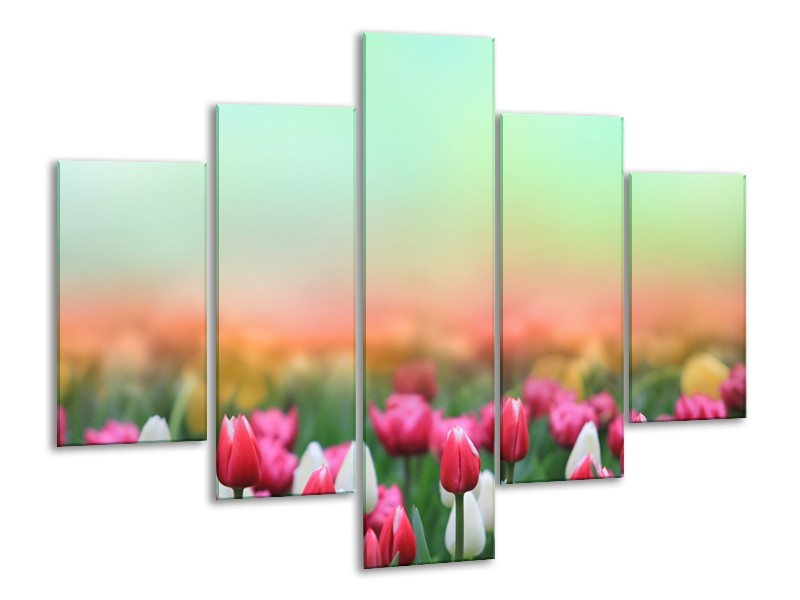 Glasschilderij Tulpen, Bloemen | Groen, Roze, Wit | 100x70cm 5Luik