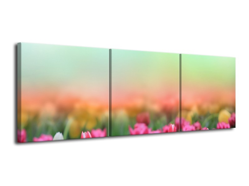 Glasschilderij Tulpen, Bloemen | Groen, Roze, Wit | 120x40cm 3Luik