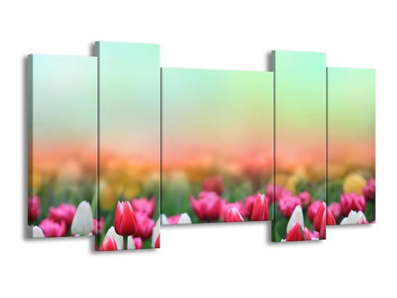 Canvas Schilderij Tulpen, Bloemen | Groen, Roze, Wit | 120x65cm 5Luik