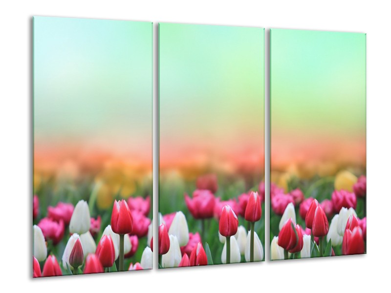 Canvas Schilderij Tulpen, Bloemen | Groen, Roze, Wit | 120x80cm 3Luik