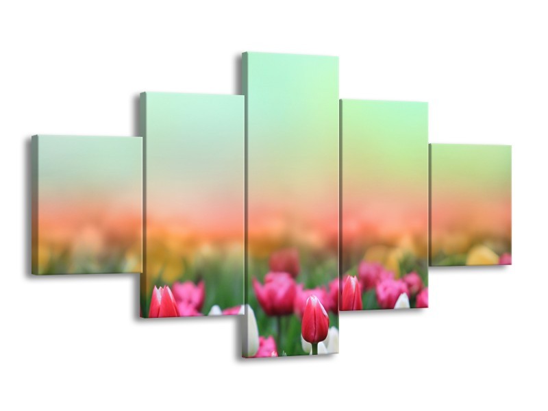 Canvas Schilderij Tulpen, Bloemen | Groen, Roze, Wit | 125x70cm 5Luik