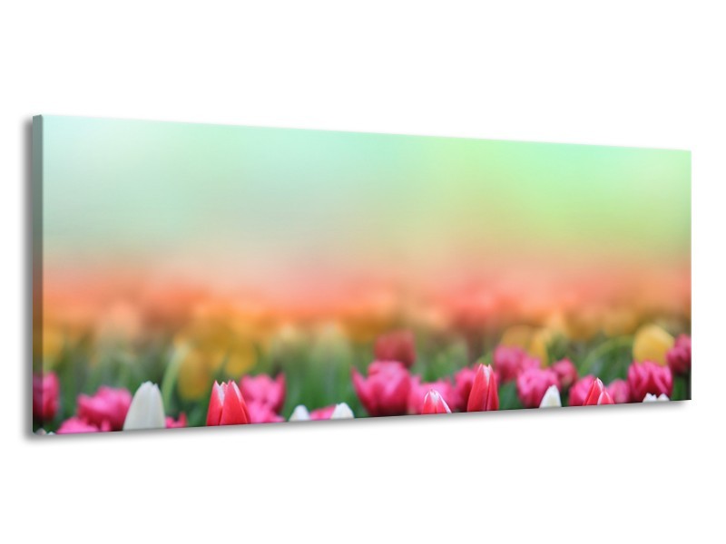 Canvas Schilderij Tulpen, Bloemen | Groen, Roze, Wit | 145x58cm 1Luik