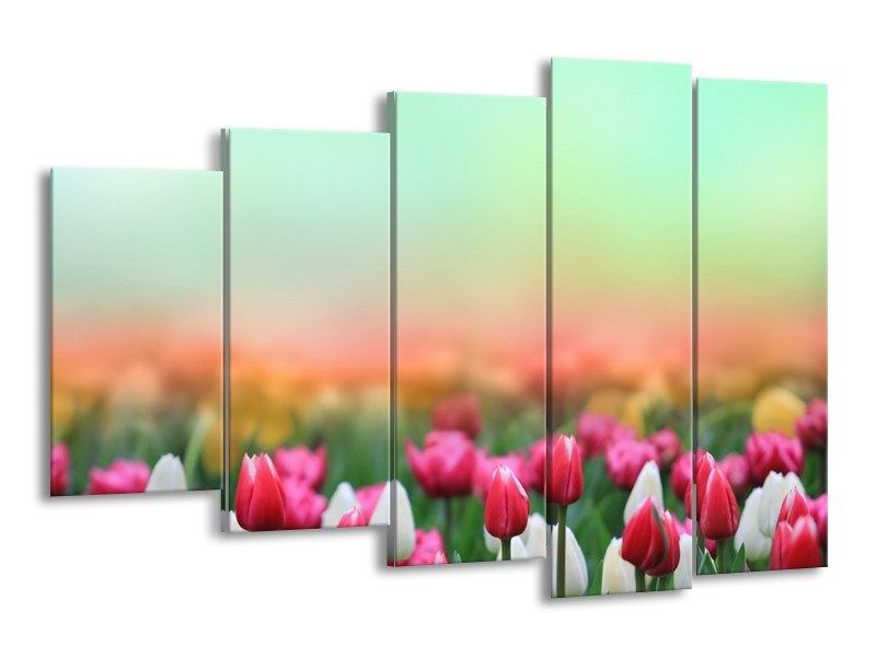 Glasschilderij Tulpen, Bloemen | Groen, Roze, Wit | 150x100cm 5Luik
