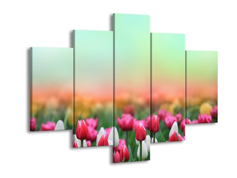 Canvas Schilderij Tulpen, Bloemen | Groen, Roze, Wit | 150x105cm 5Luik