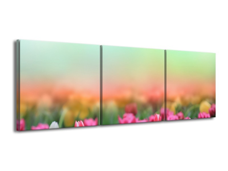 Canvas Schilderij Tulpen, Bloemen | Groen, Roze, Wit | 150x50cm 3Luik