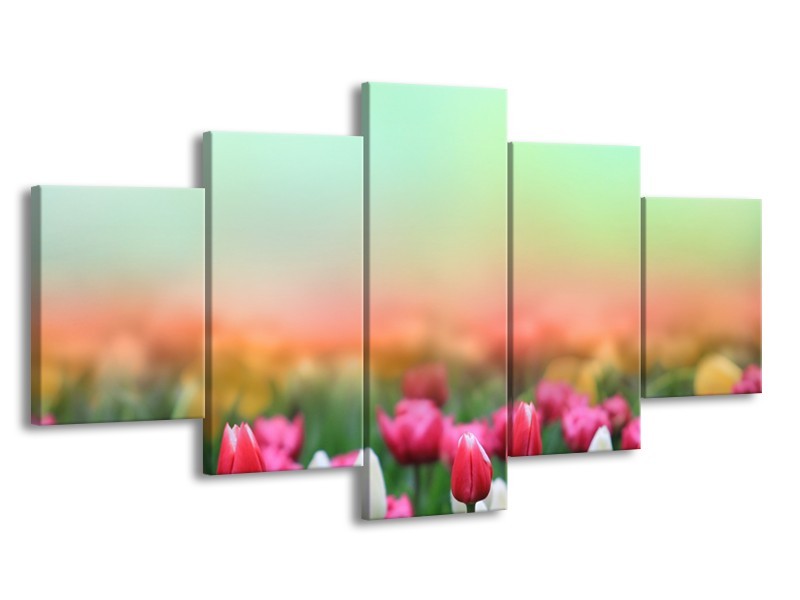 Canvas Schilderij Tulpen, Bloemen | Groen, Roze, Wit | 150x80cm 5Luik