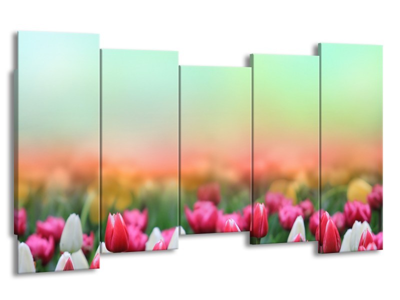 Canvas Schilderij Tulpen, Bloemen | Groen, Roze, Wit | 150x80cm 5Luik