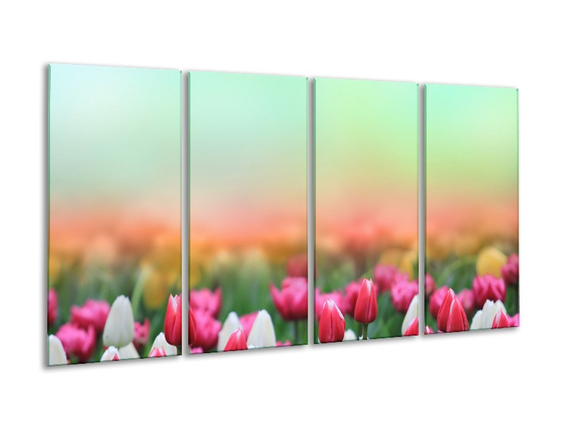 Canvas Schilderij Tulpen, Bloemen | Groen, Roze, Wit | 160x80cm 4Luik