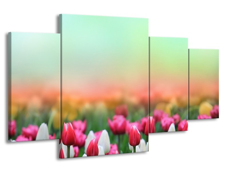 Canvas Schilderij Tulpen, Bloemen | Groen, Roze, Wit | 160x90cm 4Luik