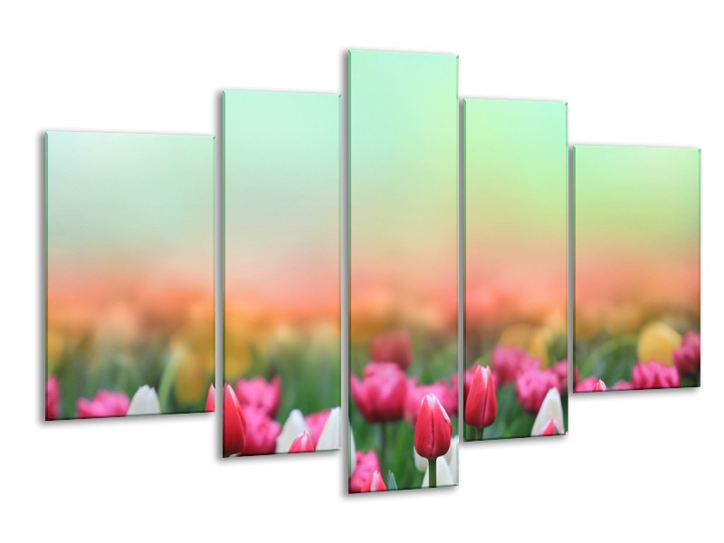 Glasschilderij Tulpen, Bloemen | Groen, Roze, Wit | 170x100cm 5Luik