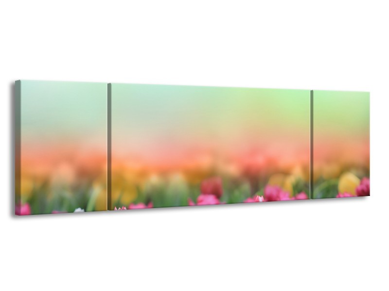 Canvas Schilderij Tulpen, Bloemen | Groen, Roze, Wit | 170x50cm 3Luik