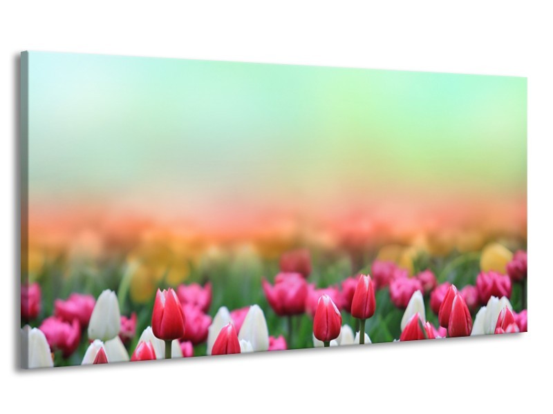 Canvas Schilderij Tulpen, Bloemen | Groen, Roze, Wit | 170x90cm 1Luik
