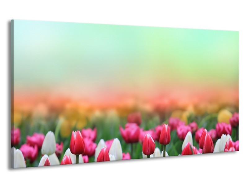 Canvas Schilderij Tulpen, Bloemen | Groen, Roze, Wit | 190x100cm 1Luik