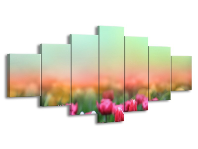 Canvas Schilderij Tulpen, Bloemen | Groen, Roze, Wit | 210x100cm 7Luik