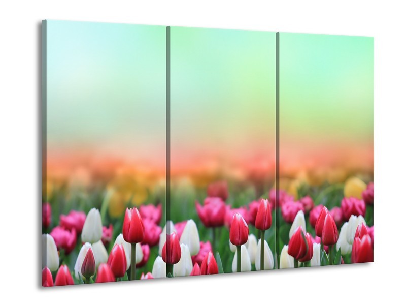Canvas Schilderij Tulpen, Bloemen | Groen, Roze, Wit | 60x90cm 3Luik