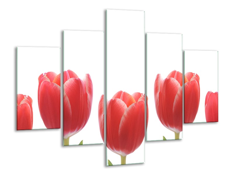 Glasschilderij Tulpen, Bloemen | Wit, Rood, Groen | 100x70cm 5Luik