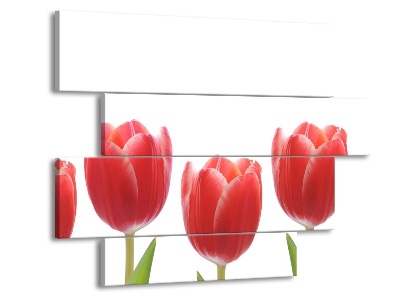 Glasschilderij Tulpen, Bloemen | Wit, Rood, Groen | 115x85cm 4Luik